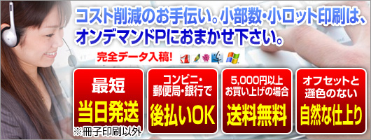 コスト削減のお手伝い。少部数印刷・小ロット印刷・オンデマンド印刷はおまかせ下さい