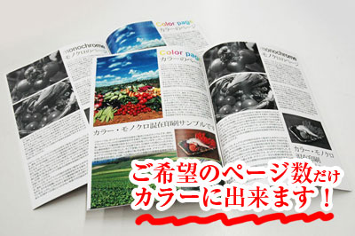 表紙カラー・本文モノクロ印刷