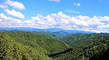 和歌山の印刷