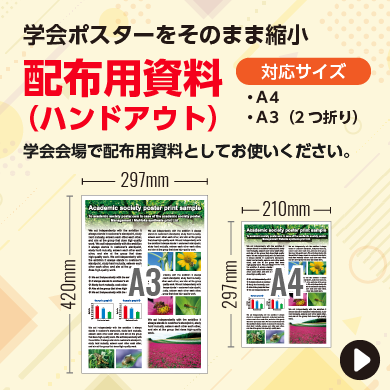 学会ポスターをそのまま縮小。配布用資料（ハンドアウト）学会会場で配布用資料としてお使いください。