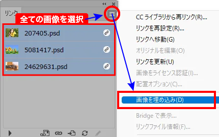 画像の埋め込み前