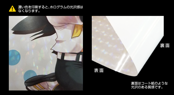 特殊紙ホログラム(T7)イメージ