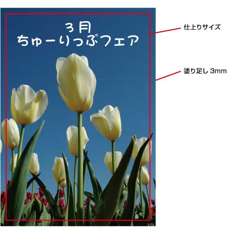 ご入稿データには仕上がりサイズより、周囲3mmの塗り足しが必要です。