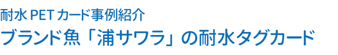 耐水PETカード事例紹介　ブランド魚「浦サワラ」の耐水タグカード